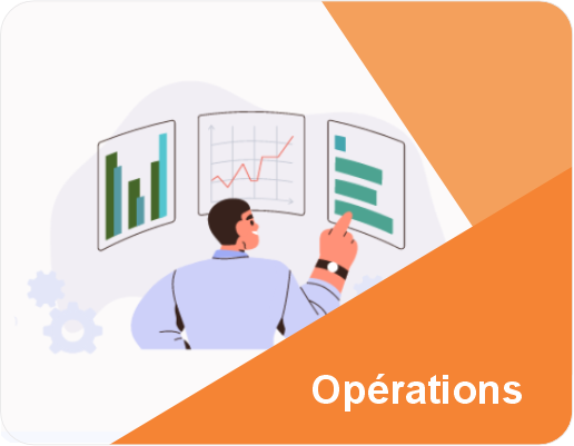 ERP implantation experts solutions technologiques identité