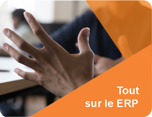 quest ce que ERP implantation experts